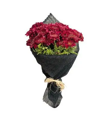 Chrysanthemum Maroon Bouquet | Code 203