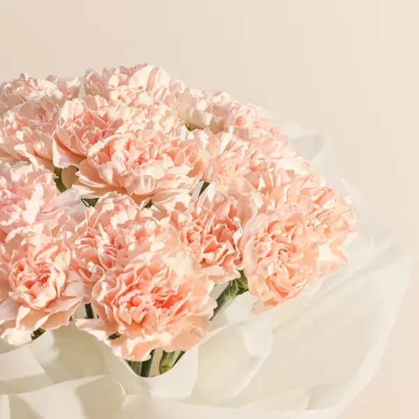 Unique Light Orange Carnation Bouquet | Code 191