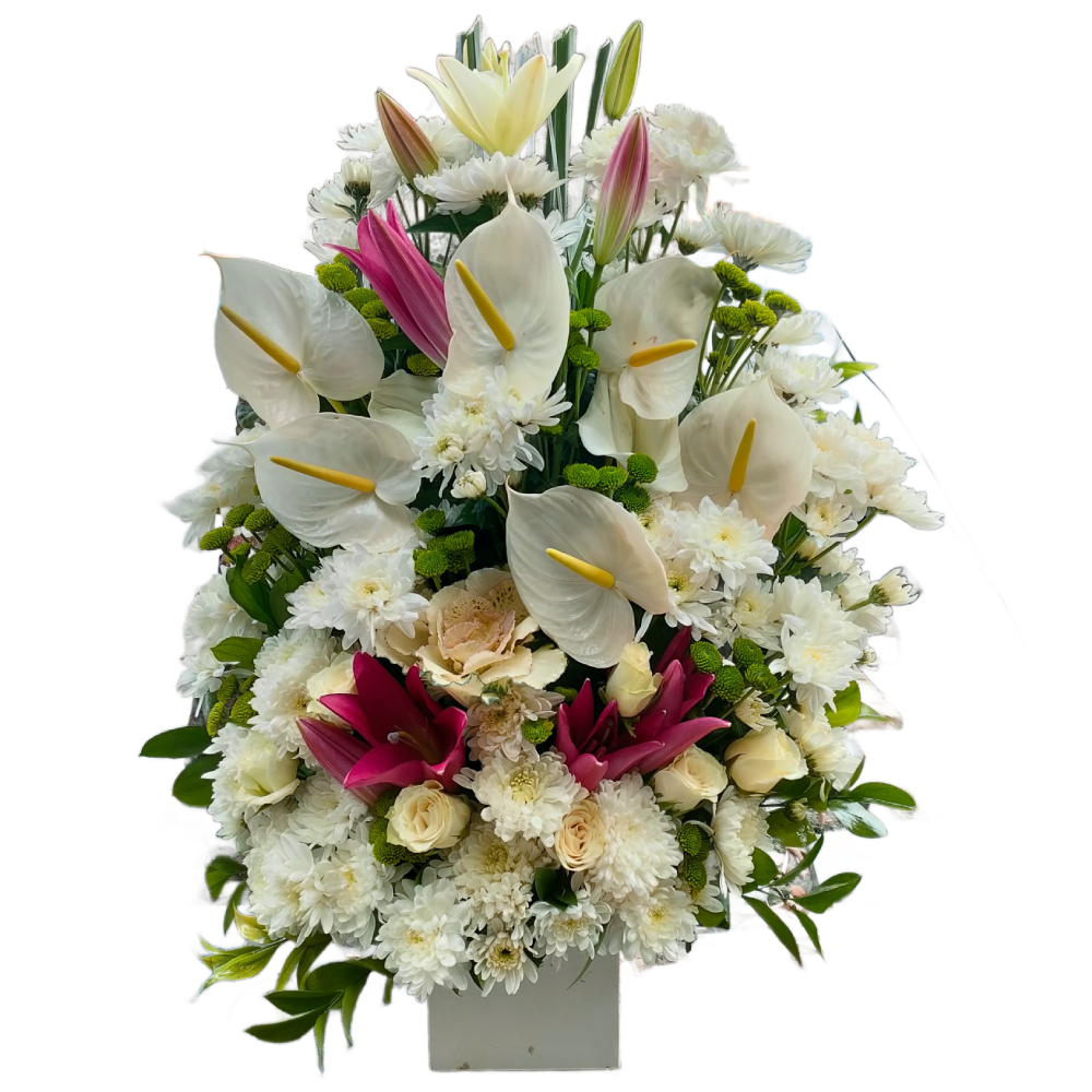 Lilies Chrysanthemums & Anthurium Harmony Box 2 | Code 119