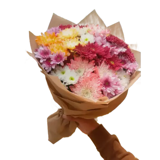 [151] Colorful Chrysanthemum Bouquet | Code 151