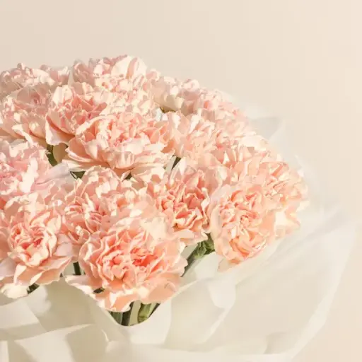 [191] Unique Light Orange Carnation Bouquet | Code 191