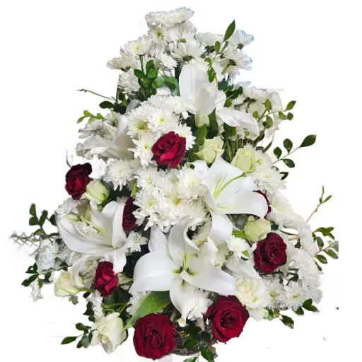 [141] New Arrangement | Code 141