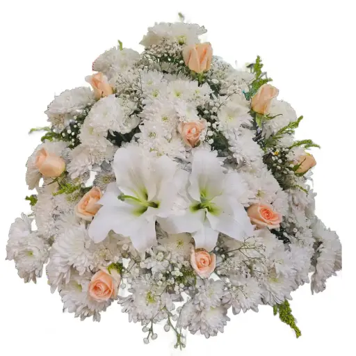 [142] New Arrangement | Code 142