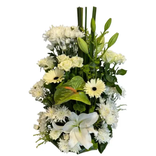 [145] New Arrangement | Code 145